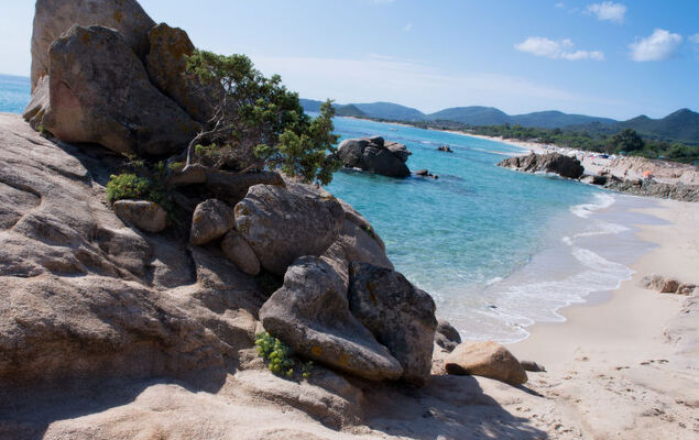 La Conchiglia - Photo 36