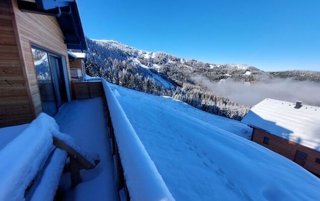 Diamondsky - Photo 29