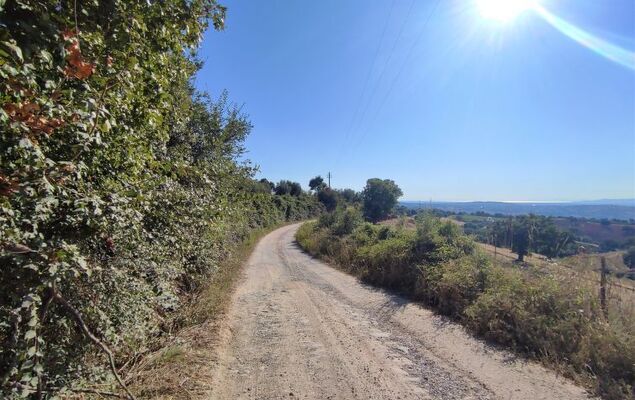 Country House - Photo 30