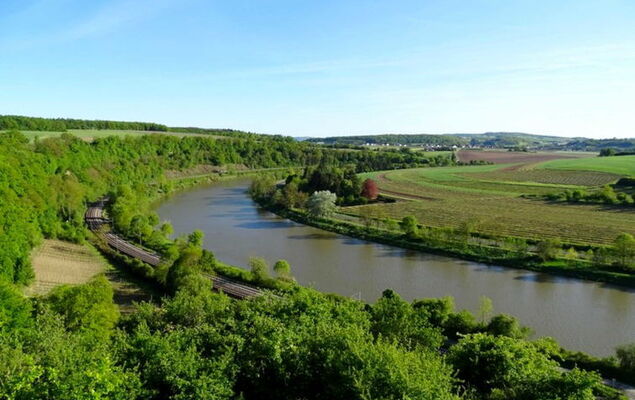 Zum Trichter - Photo 23