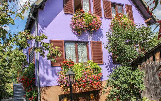 Résidence jaune et rose - Photo 16