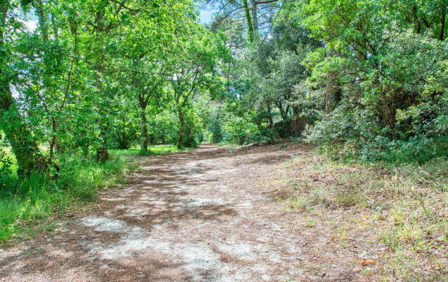 Massawipi Lodge - Photo 28